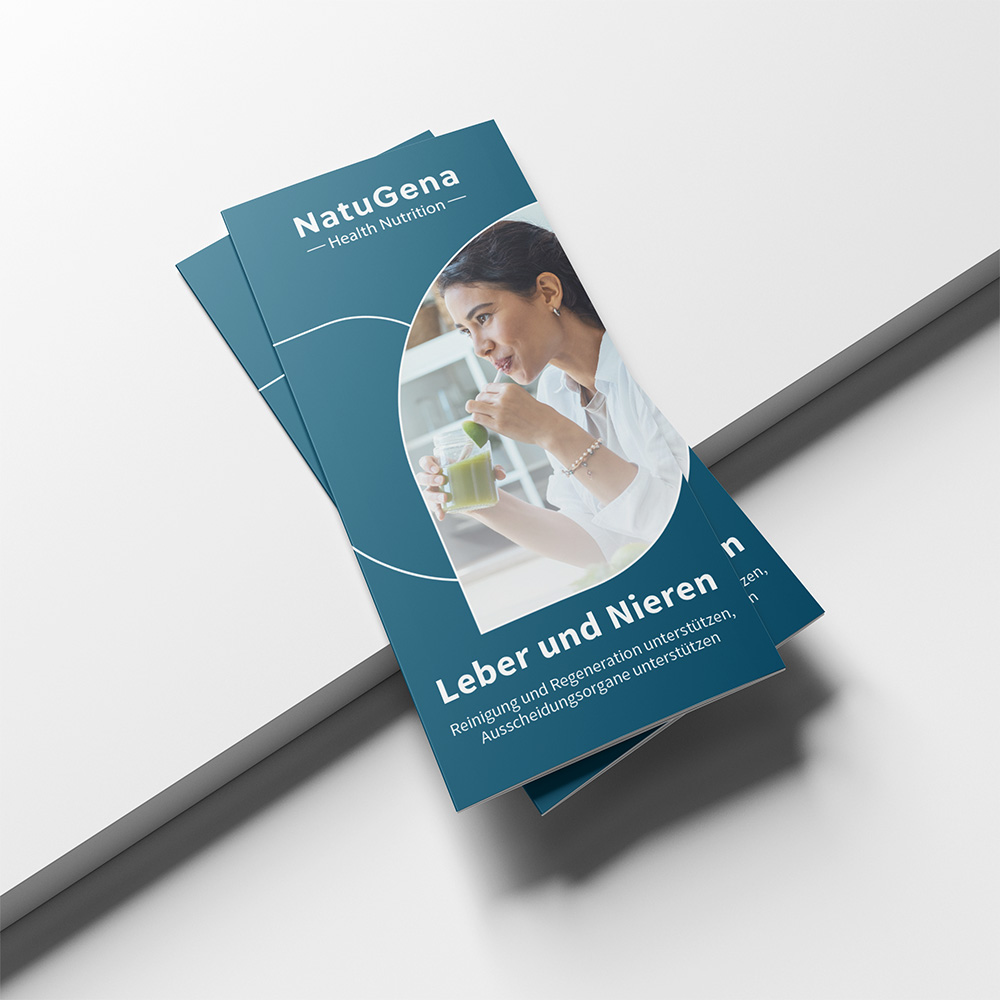 Flyer Leber und Nieren