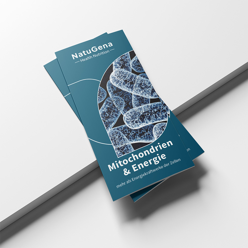 Flyer Mitochondrien & Energiestoffwechsel