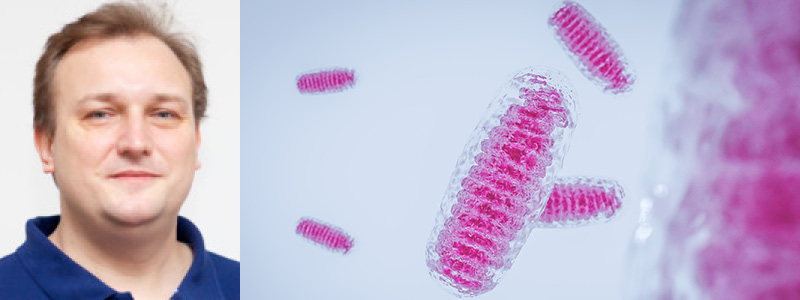 Dr. Karsten Ostermann