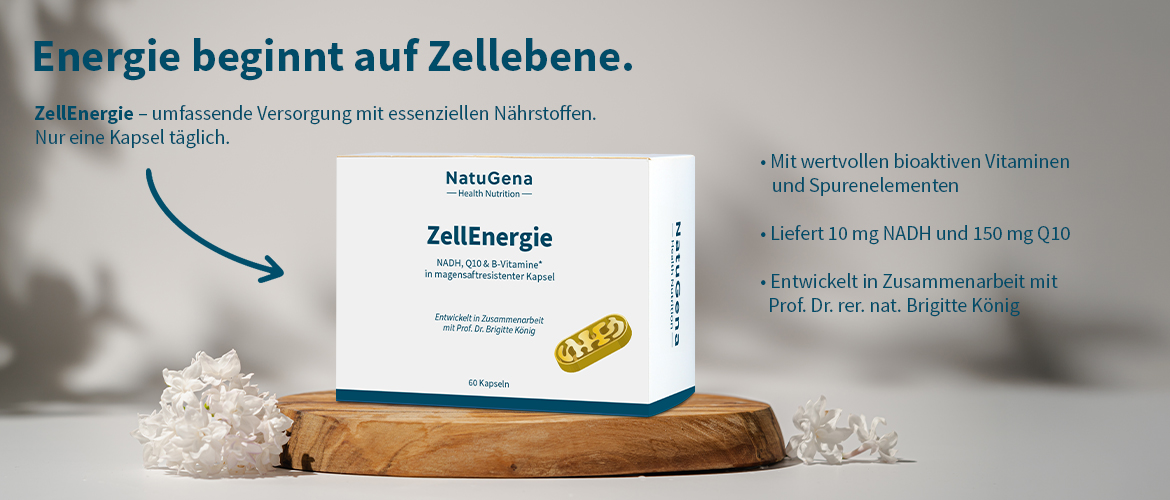 ZellEnergie